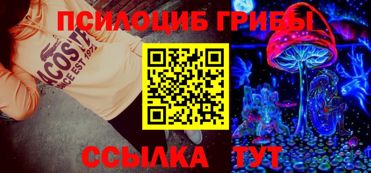 Электросталь  Псилоцибиновые грибы Psilocybine cubensis  Вход с VPN 