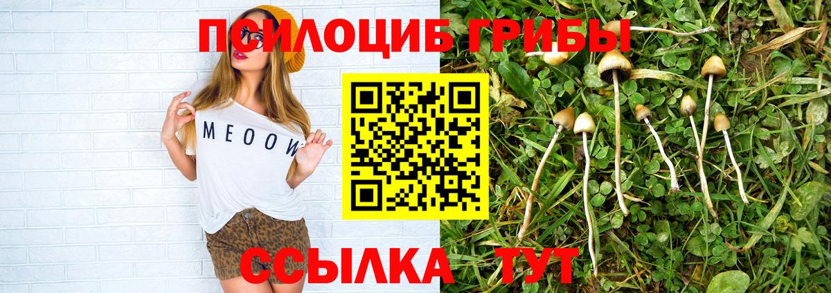 Псилоцибиновые грибы мицелий Электросталь